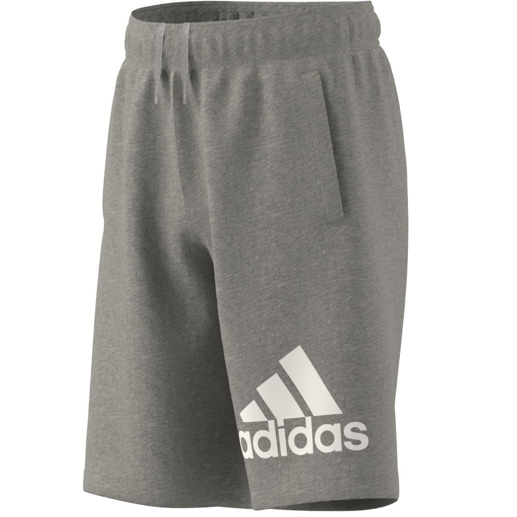 Unisex Kids Essentials Big Logo Cotton Shorts, Grey, A901_ONE, large image number 10