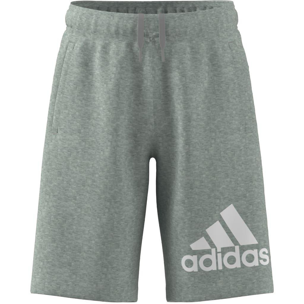 Unisex Kids Essentials Big Logo Cotton Shorts, Grey, A901_ONE, large image number 13