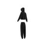 Women Energize Tracksuit, Black, A901_ONE, thumbnail image number 10