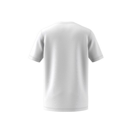 TREFOIL T-SHIRTWHITE/CLASTR, A901_ONE, large image number 14