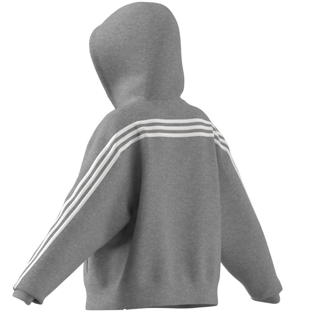 Future Icons 3-Stripes Full-Zip Hoodie, Grey, A901_ONE, large image number 6