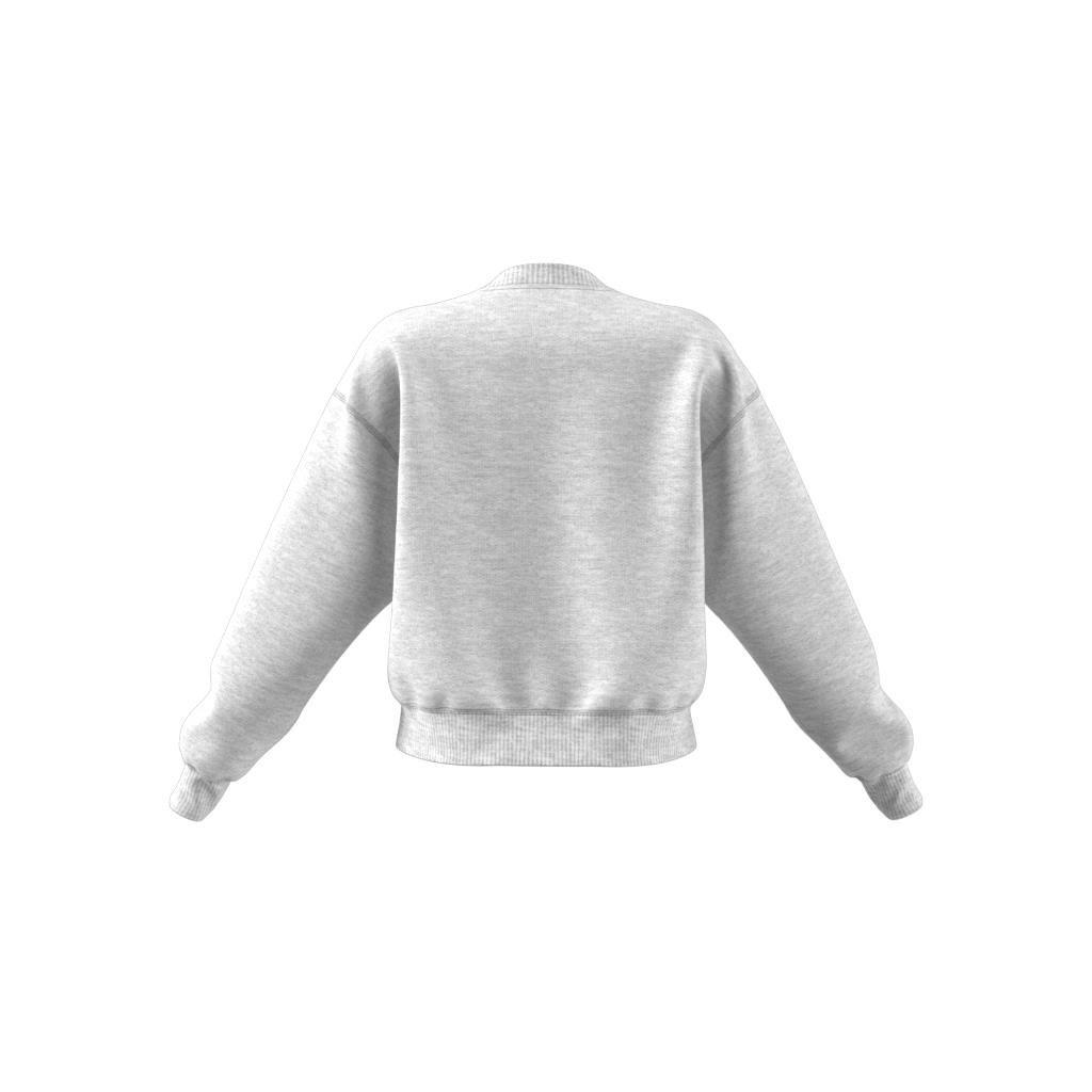Sweatshirt, Grey, A901_ONE, large image number 13