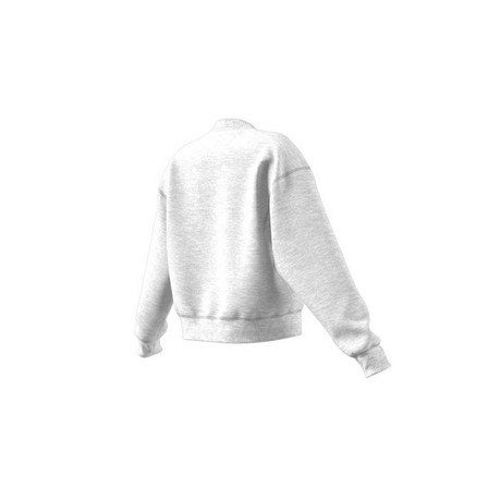 Women Sweatshirt, Grey, A901_ONE, large image number 14