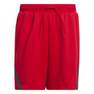 Men Select Shorts, Red, A901_ONE, thumbnail image number 0