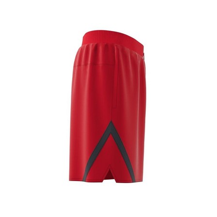 Men Select Shorts, Red, A901_ONE, large image number 9