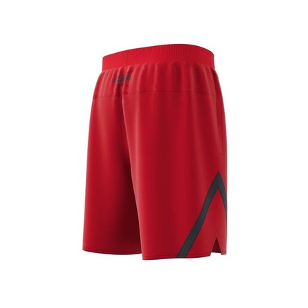 Men Select Shorts, Red, A901_ONE, large image number 11