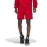 Men Select Shorts, Red, A901_ONE, thumbnail image number 13