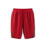 Men Select Shorts, Red, A901_ONE, thumbnail image number 14