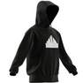 Men Future Icons Badge Of Sport Hoodie, Black, A901_ONE, thumbnail image number 12