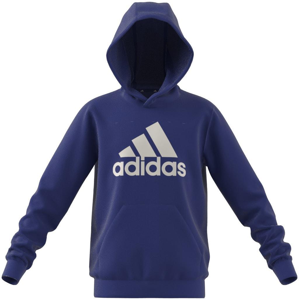 Kids Unisex Big Logo Essentials Cotton Hoodie, Blue, , large image number 9