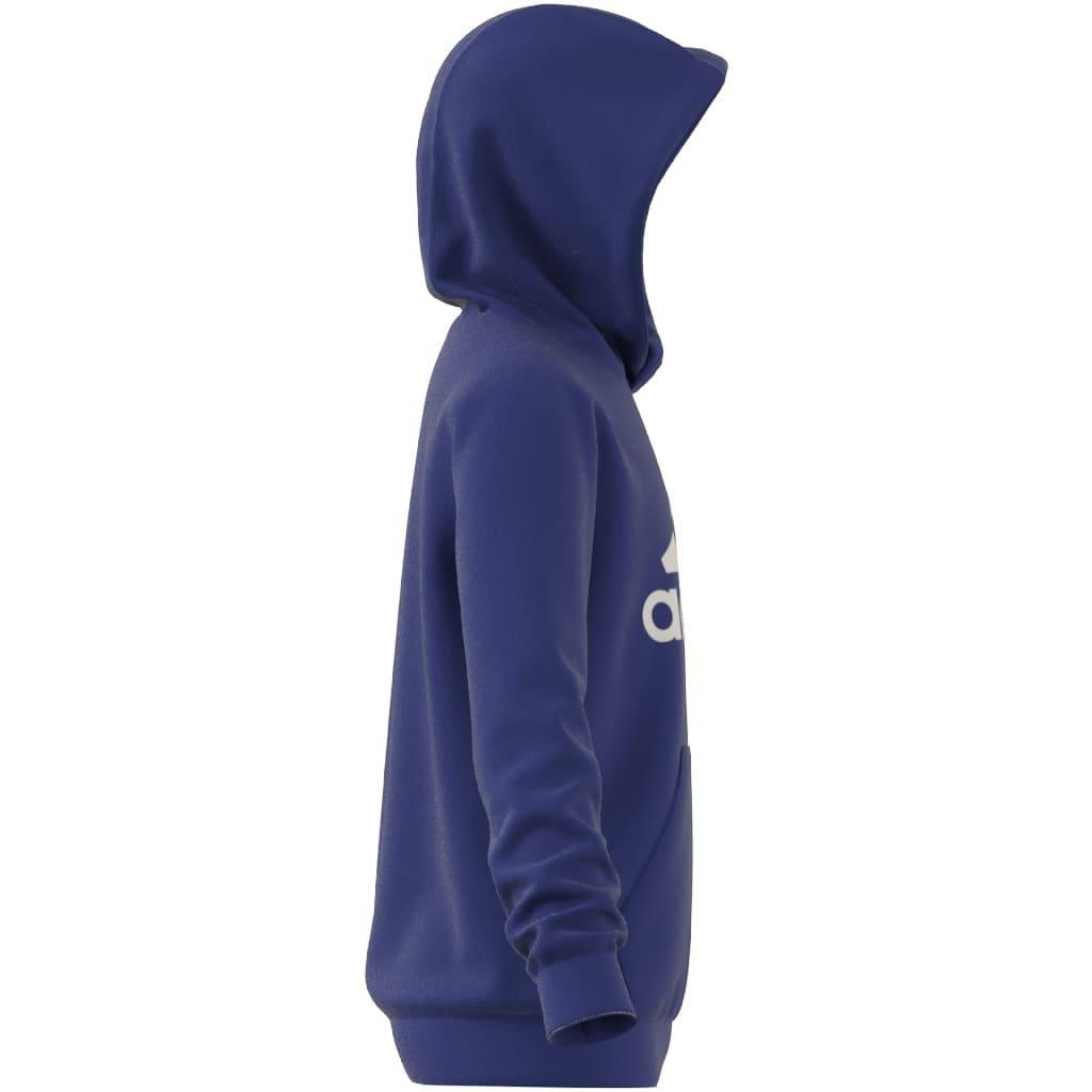 Kids Unisex Big Logo Essentials Cotton Hoodie, Blue, , large image number 10