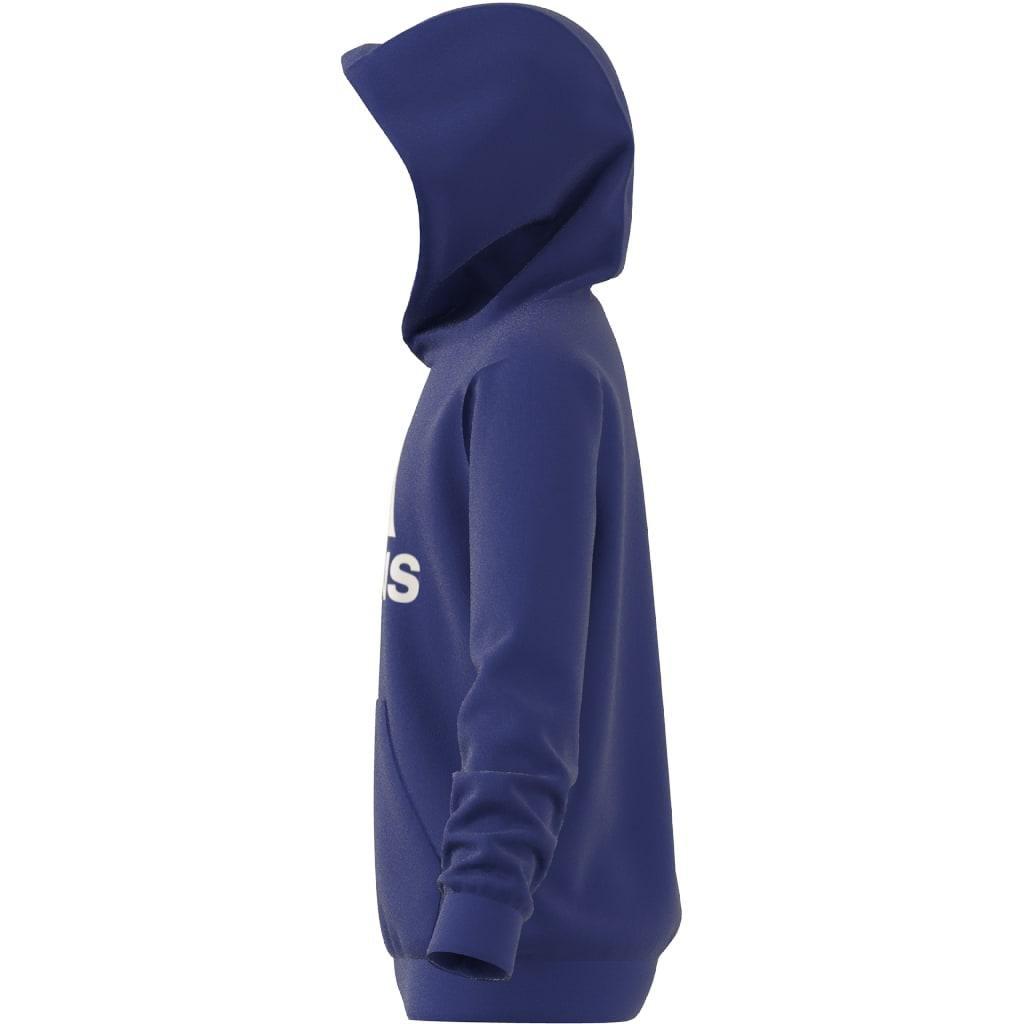 Kids Unisex Big Logo Essentials Cotton Hoodie, Blue, , large image number 13