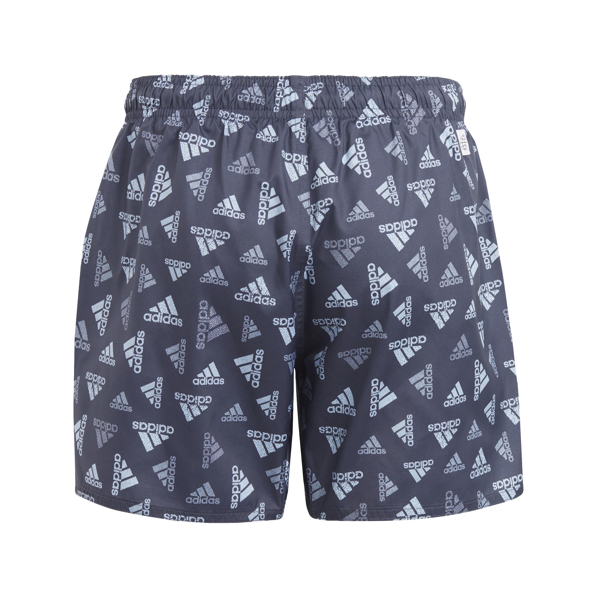 Logo Print CLX Swim Shorts, Blue, A901_ONE, large image number 2