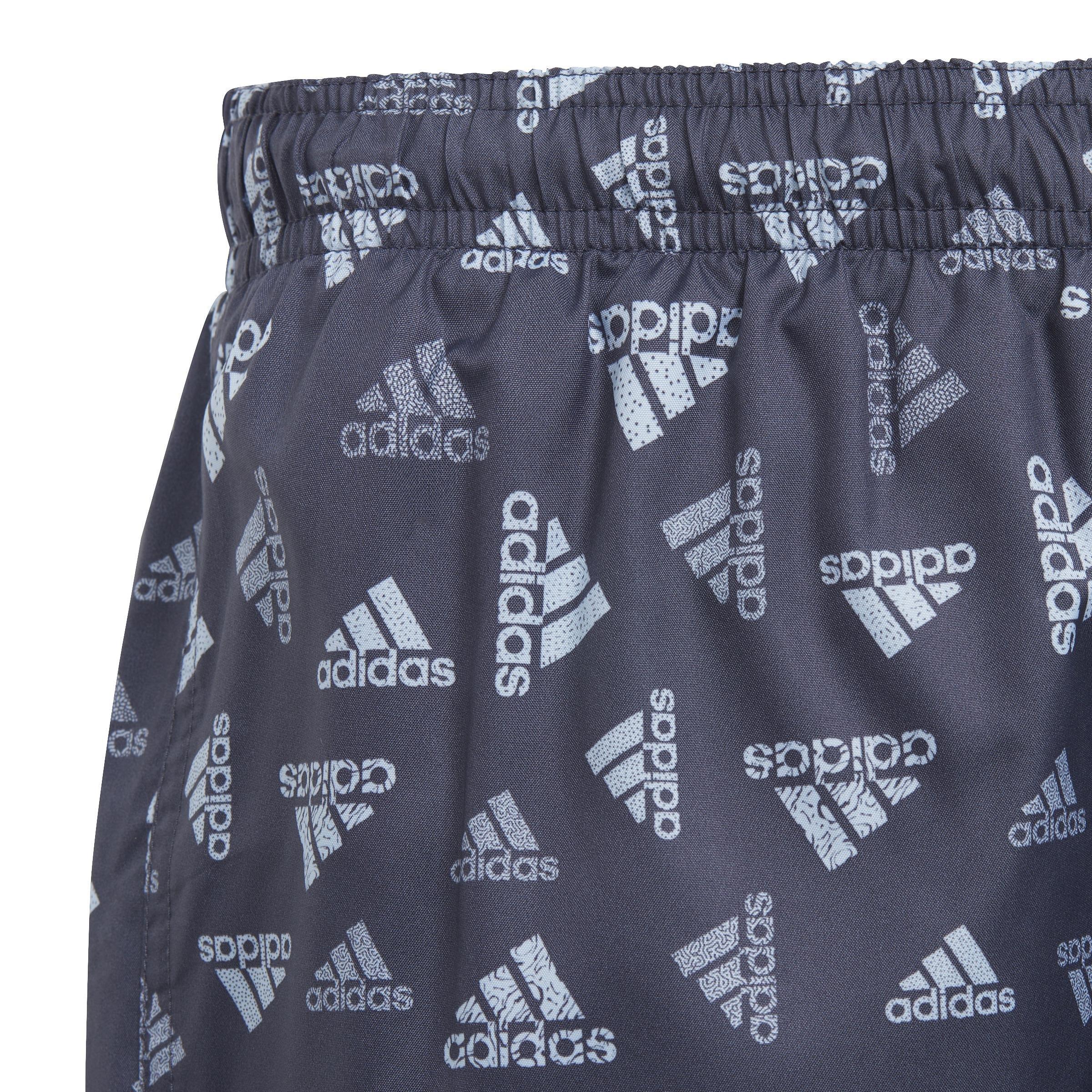 Logo Print CLX Swim Shorts, Blue, A901_ONE, large image number 5