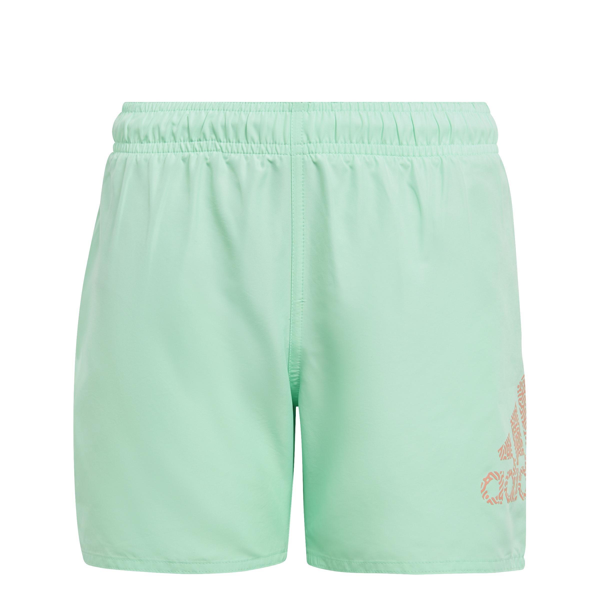 Logo CLX Swim Shorts, Green, A901_ONE, large image number 0