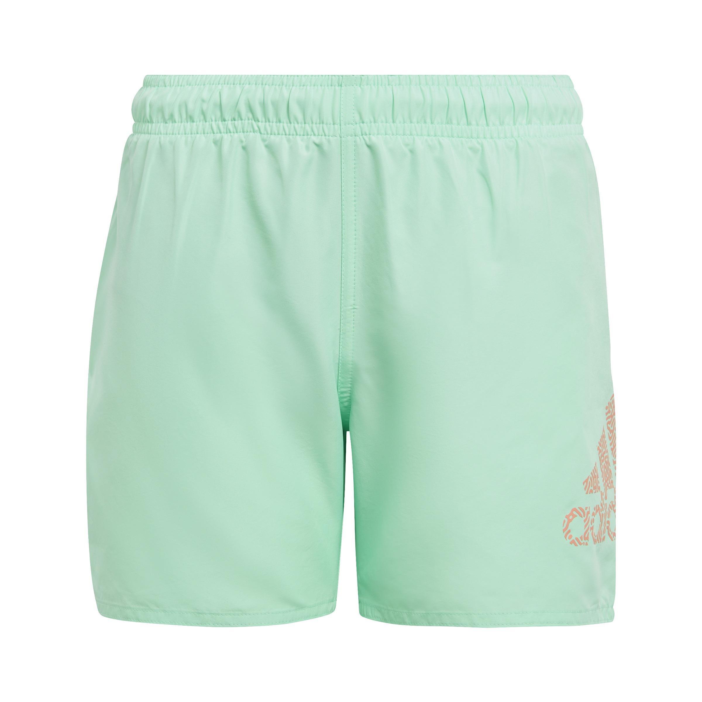 Kids Logo CLX Swim Shorts, Green, A901_ONE, large image number 1