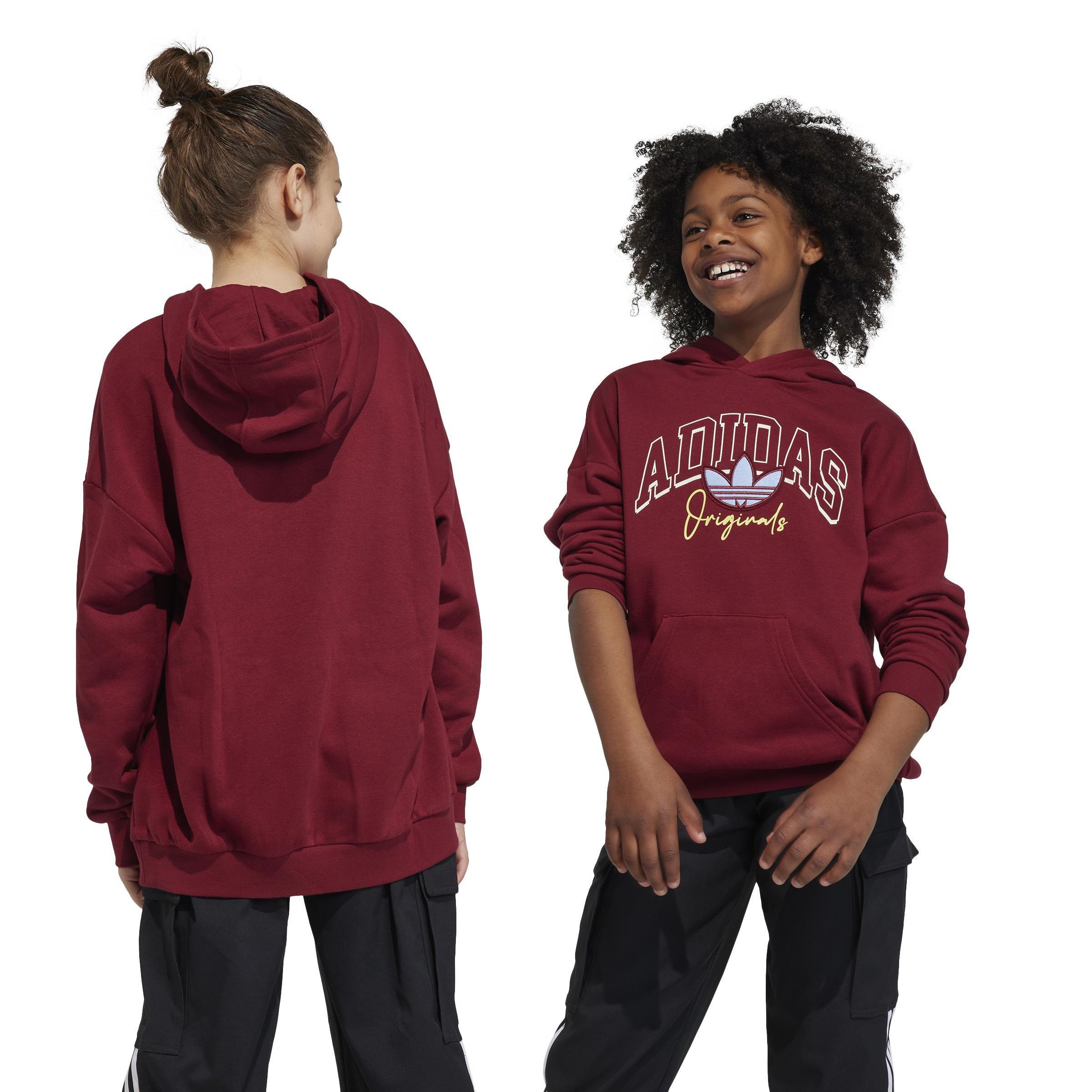 Unisex Kids Collegiate Graphic Pack Hoodie, Red, , large image number 2