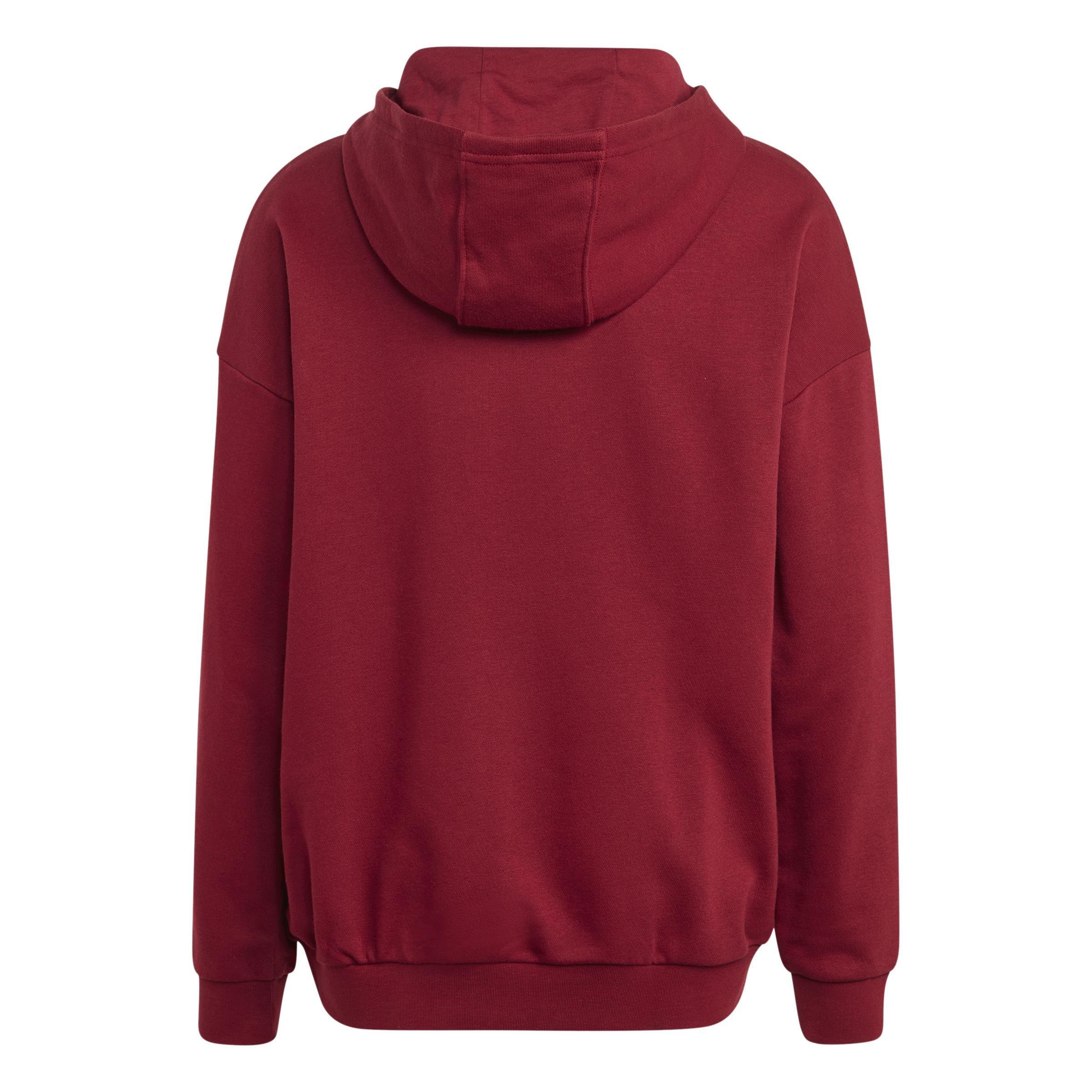 Unisex Kids Collegiate Graphic Pack Hoodie, Red, , large image number 3