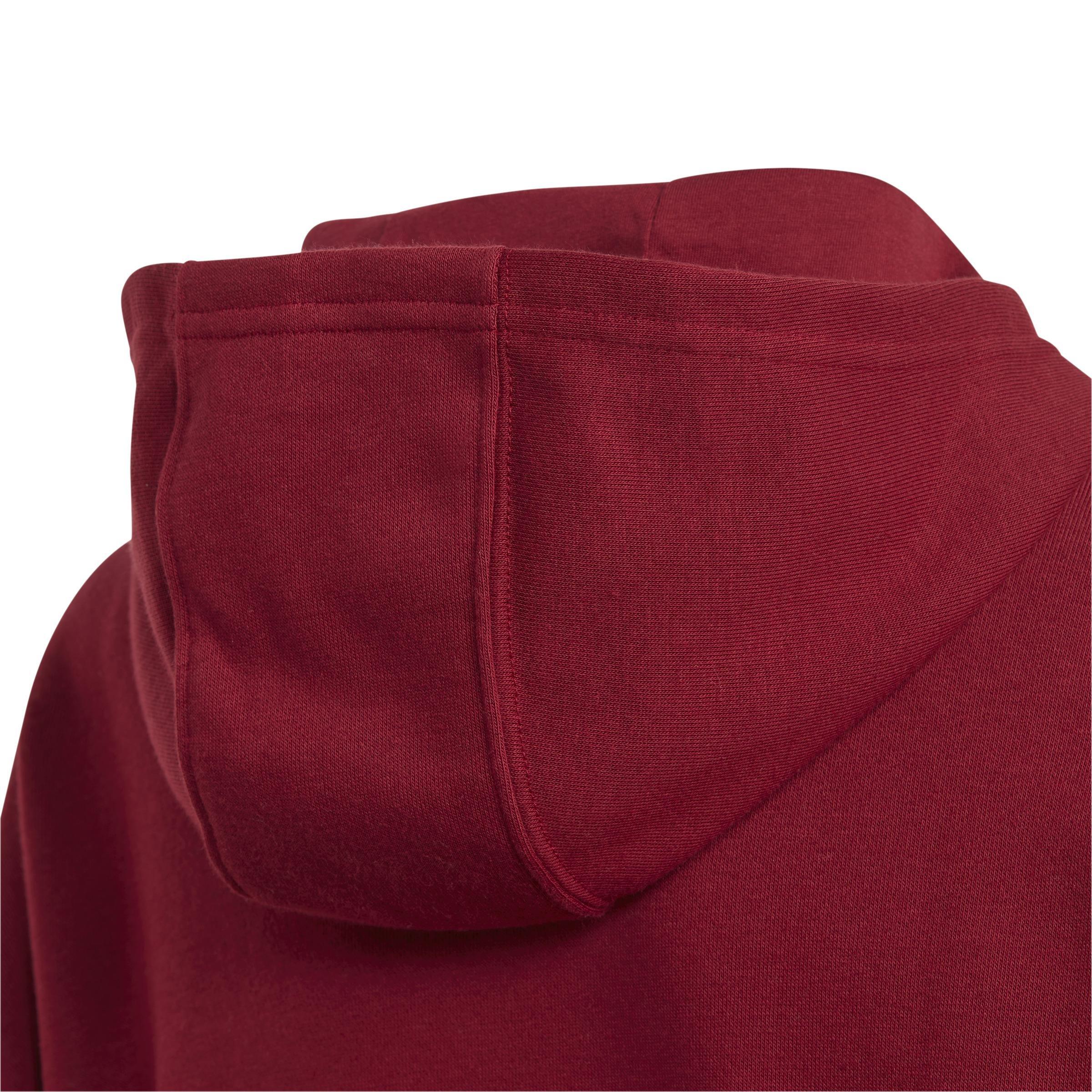 Unisex Kids Collegiate Graphic Pack Hoodie, Red, , large image number 4