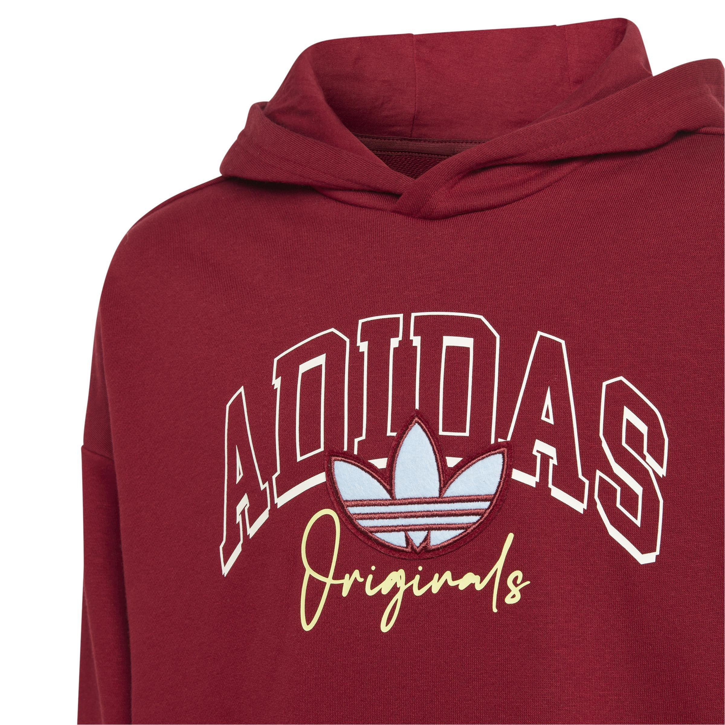 Unisex Kids Collegiate Graphic Pack Hoodie, Red, , large image number 5