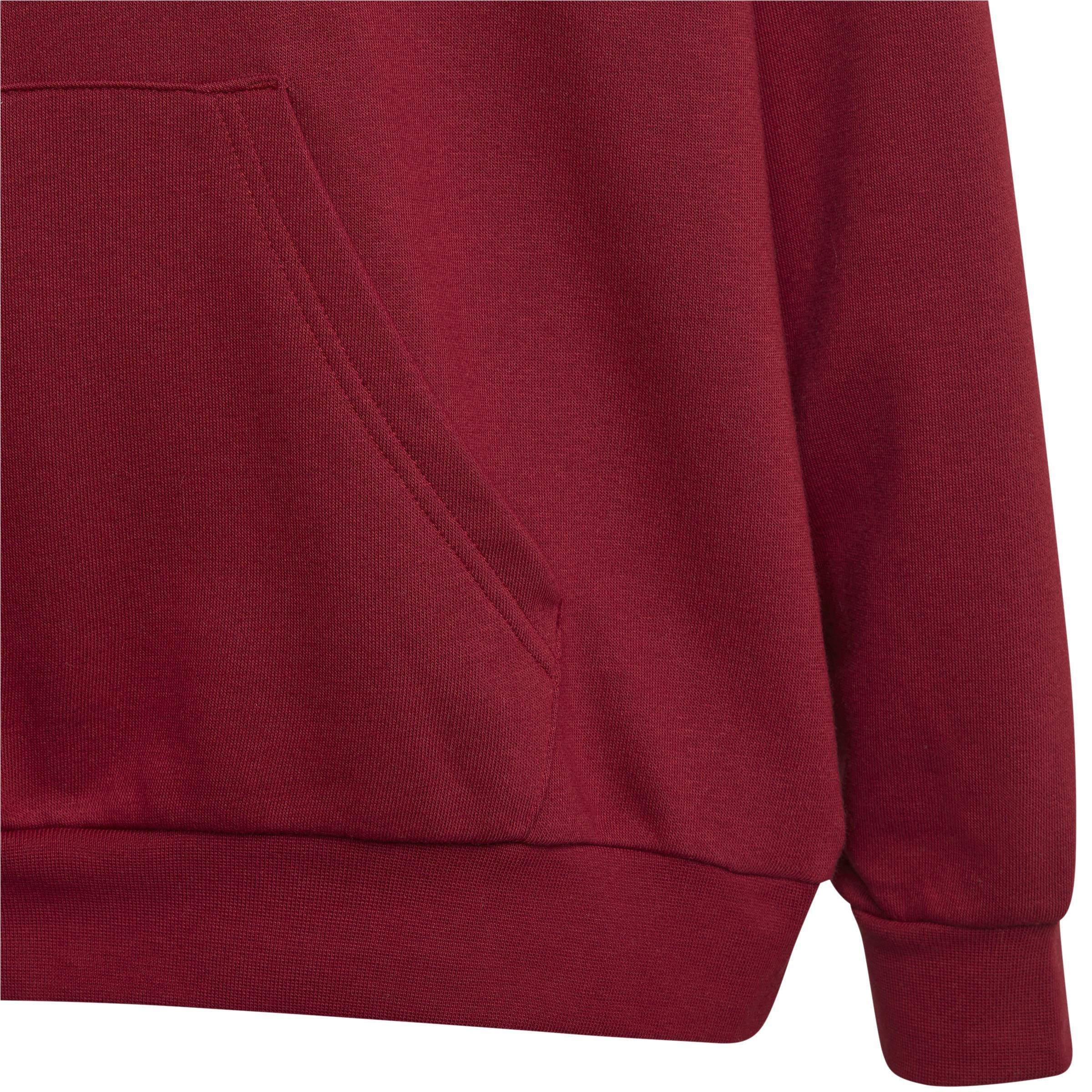 Unisex Kids Collegiate Graphic Pack Hoodie, Red, , large image number 6