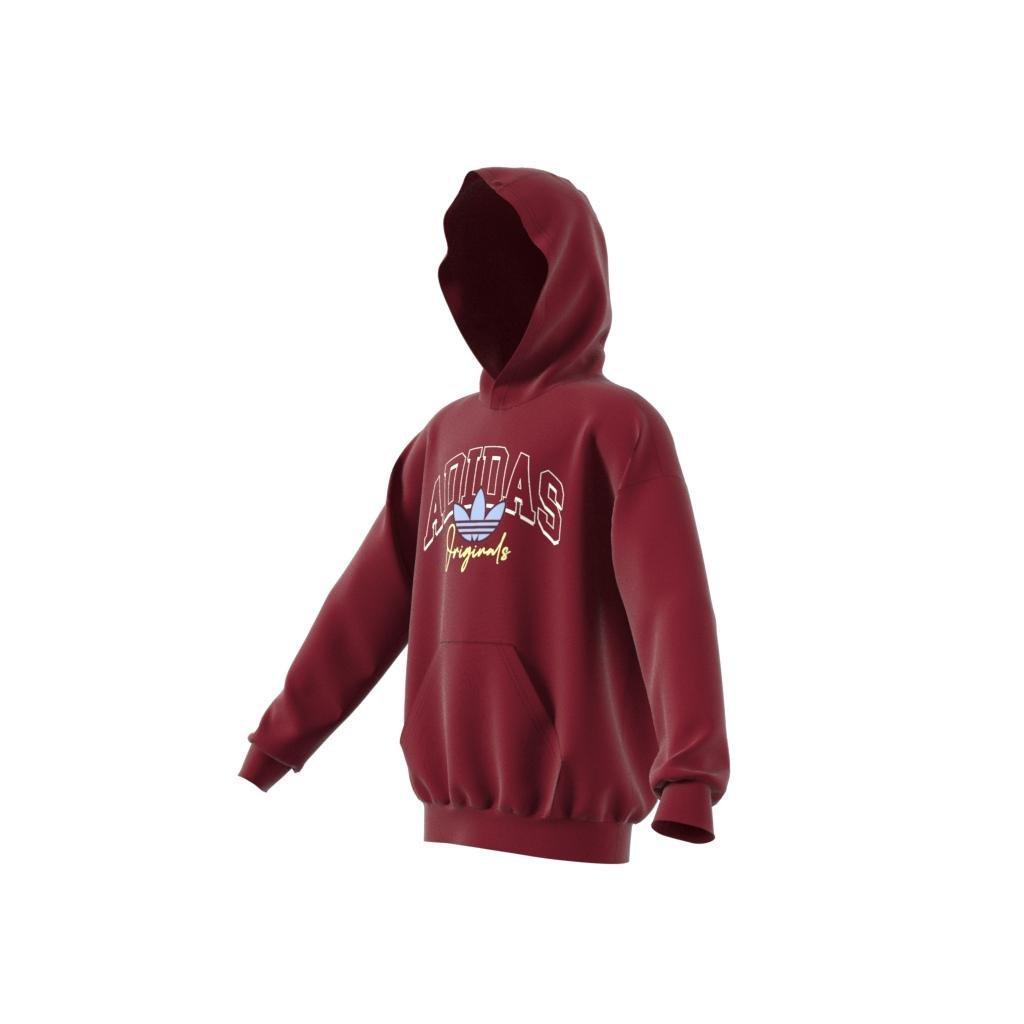 Unisex Kids Collegiate Graphic Pack Hoodie, Red, , large image number 7