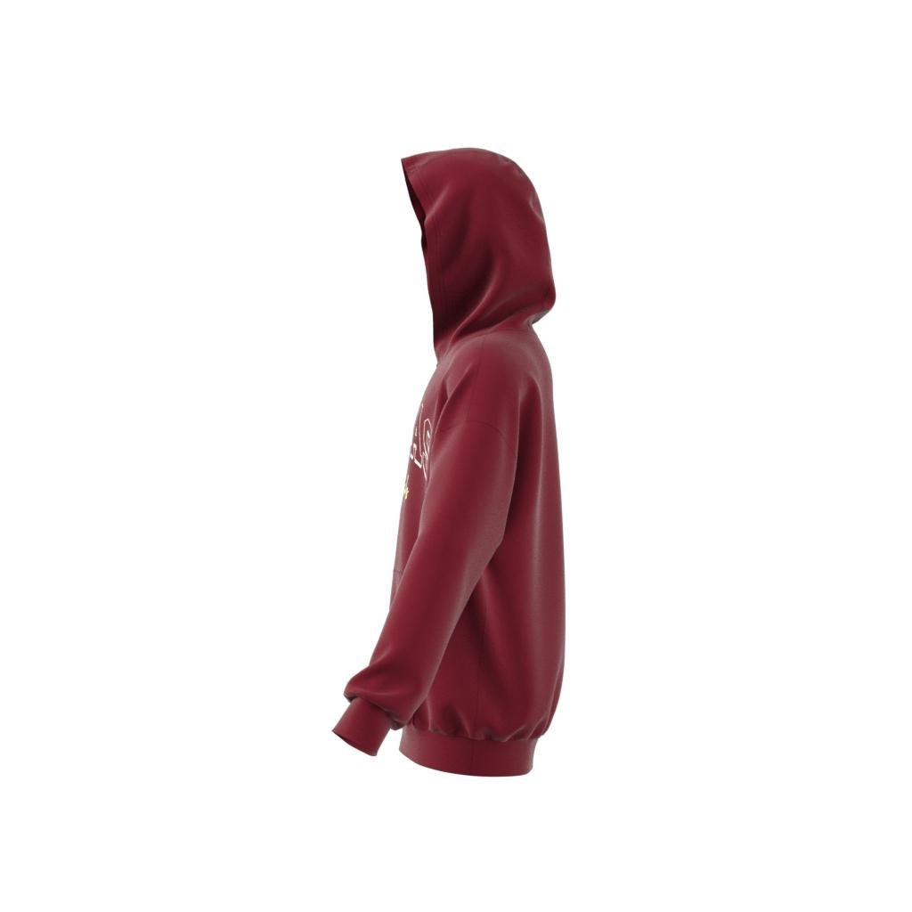 Unisex Kids Collegiate Graphic Pack Hoodie, Red, , large image number 8