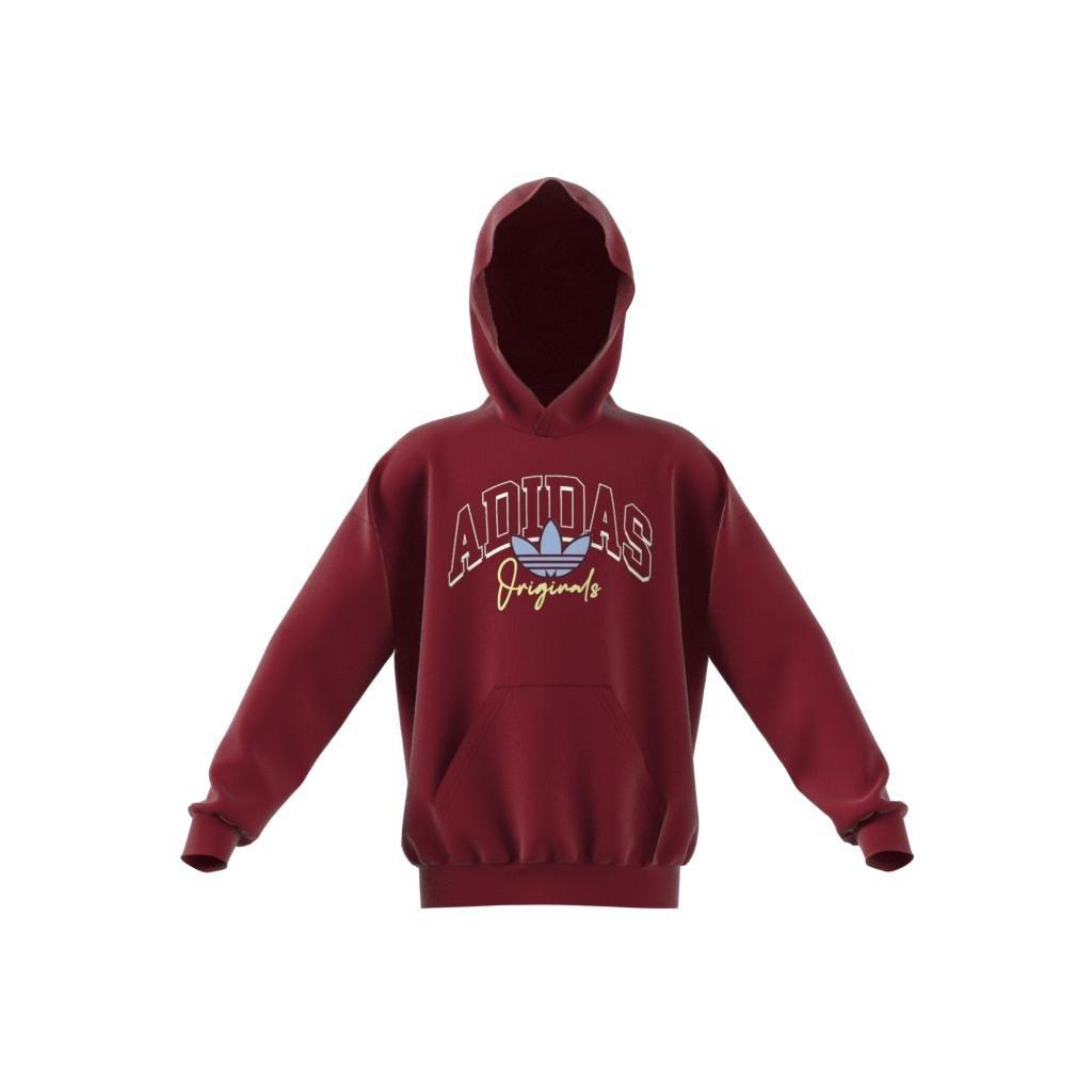Unisex Kids Collegiate Graphic Pack Hoodie, Red, , large image number 9
