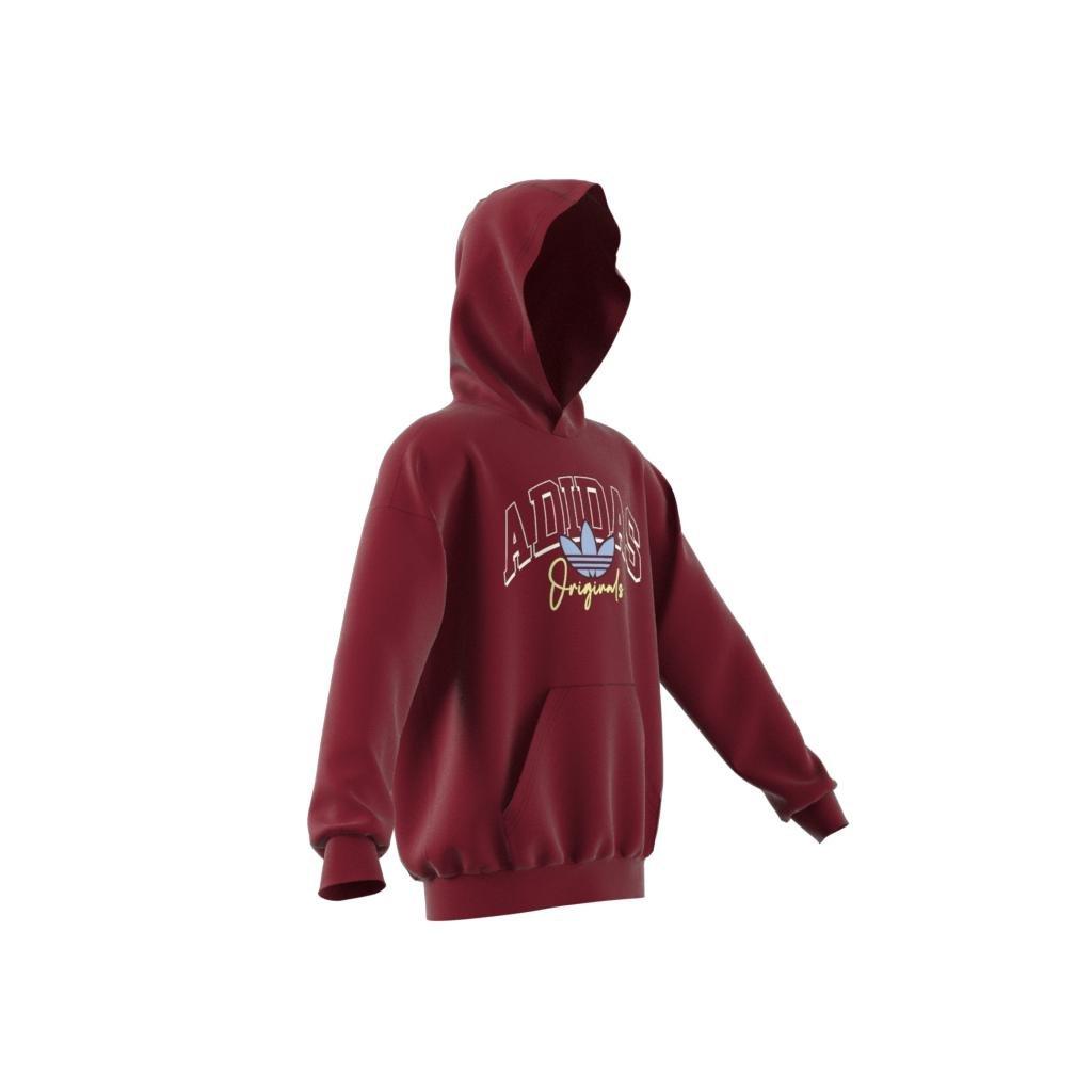Unisex Kids Collegiate Graphic Pack Hoodie, Red, , large image number 10
