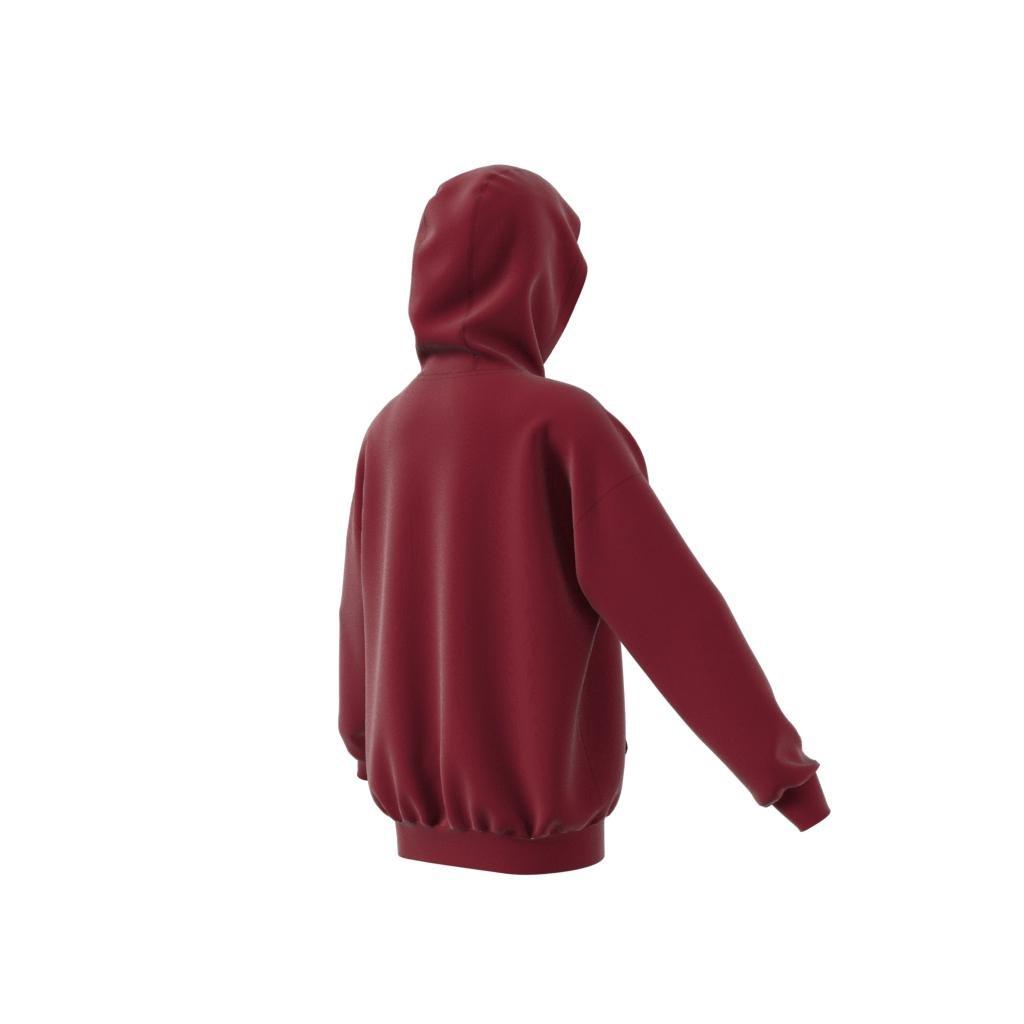 Unisex Kids Collegiate Graphic Pack Hoodie, Red, , large image number 12