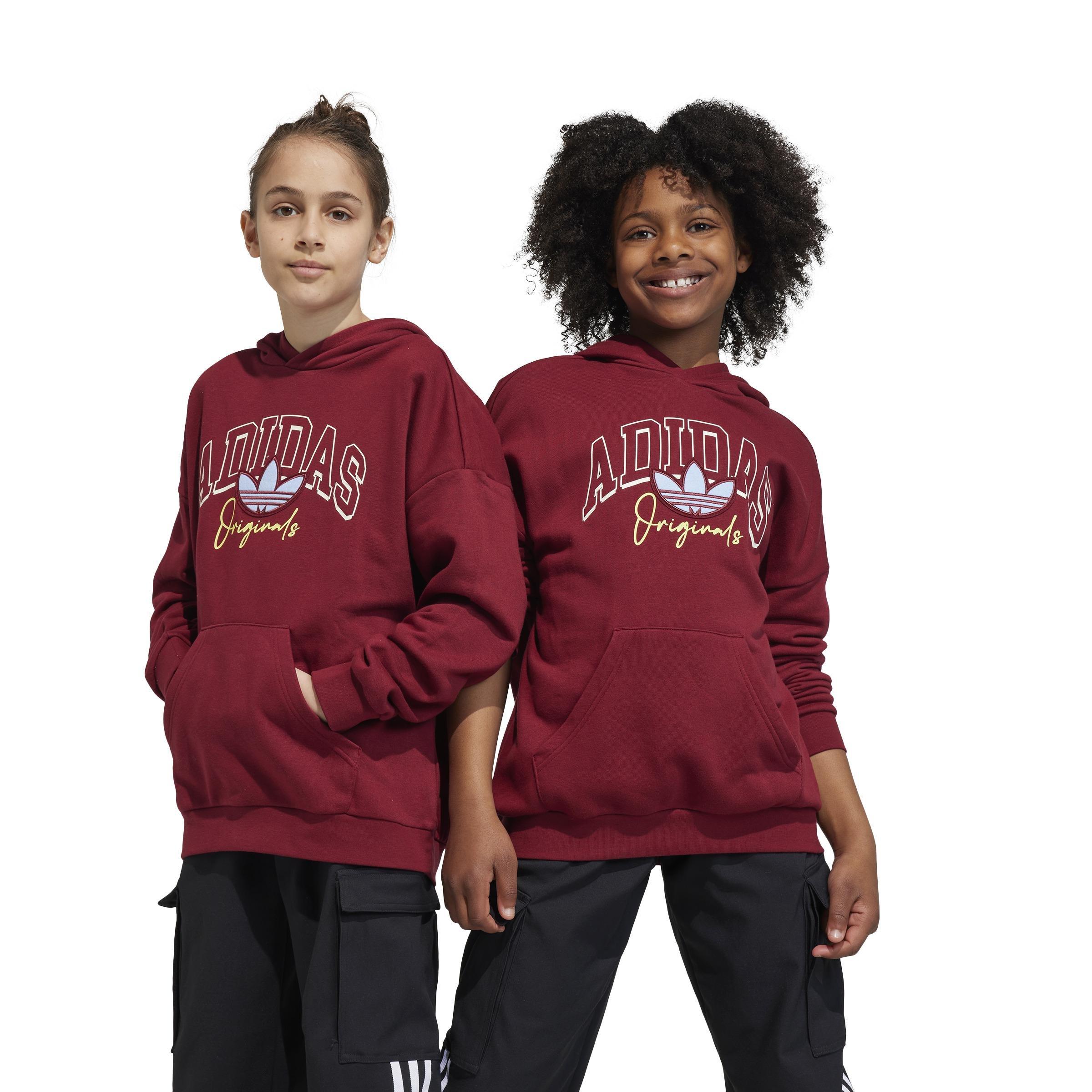 Unisex Kids Collegiate Graphic Pack Hoodie, Red, , large image number 13