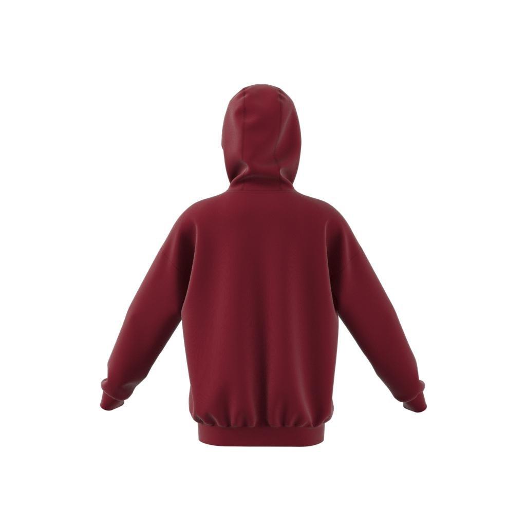 Unisex Kids Collegiate Graphic Pack Hoodie, Red, , large image number 14