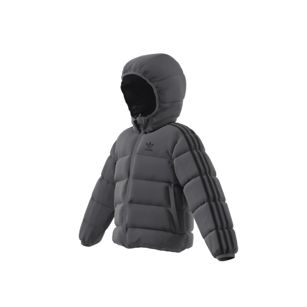 Unisex Kids Adicolor Jacket, Grey, , large image number 8