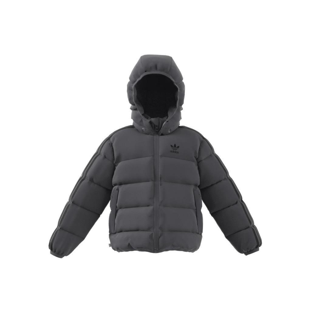 Unisex Kids Adicolor Jacket, Grey, , large image number 9
