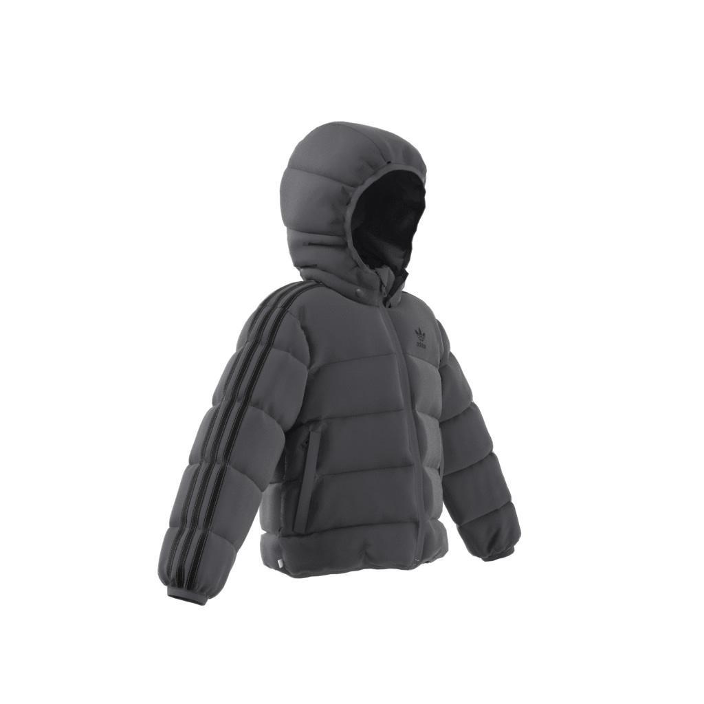 Unisex Kids Adicolor Jacket, Grey, , large image number 12
