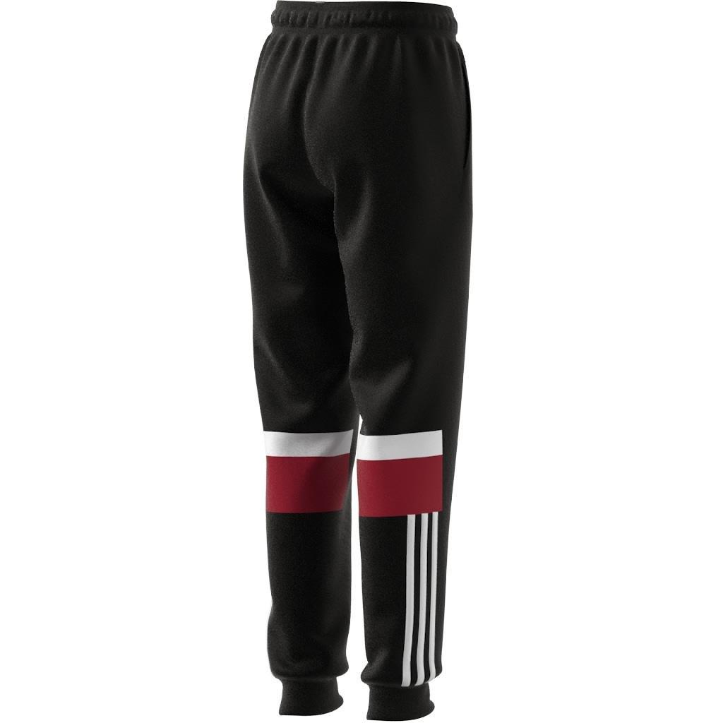 Unisex Kids Tiberio 3-Stripes Colorblock Fleece Joggers, Black, A901_ONE, large image number 11