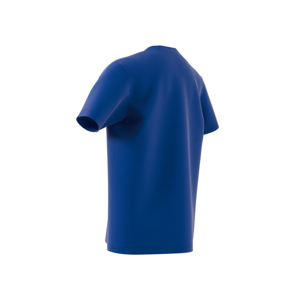 Unisex Kids Collegiate Graphic Pack Bf T-Shirt, Blue, A901_ONE, large image number 4