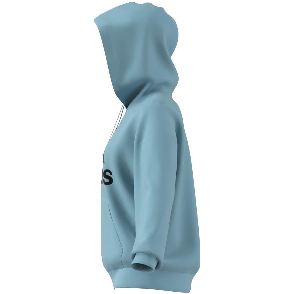 Essentials Big Logo Oversized French Terry Hoodie, Turquoise, , large image number 14
