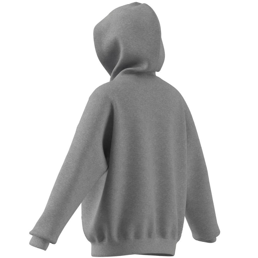 Unisex Kids Fleece Full-Zip Hoodie, Grey, A901_ONE, large image number 6