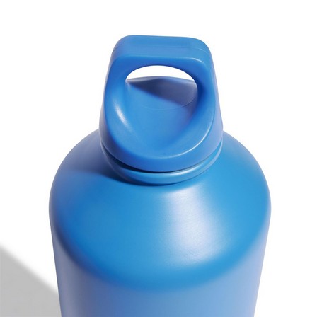 Unisex 0.75 L Steel Water Bottle, Blue, A901_ONE, large image number 2