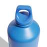 Unisex 0.75 L Steel Water Bottle, Blue, A901_ONE, thumbnail image number 2