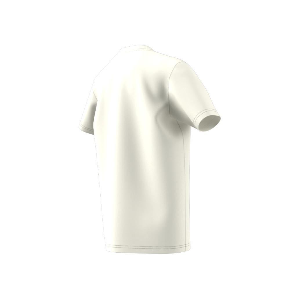 Unisex Kids Collegiate Graphic Pack BF T-Shirt, White, , large image number 13