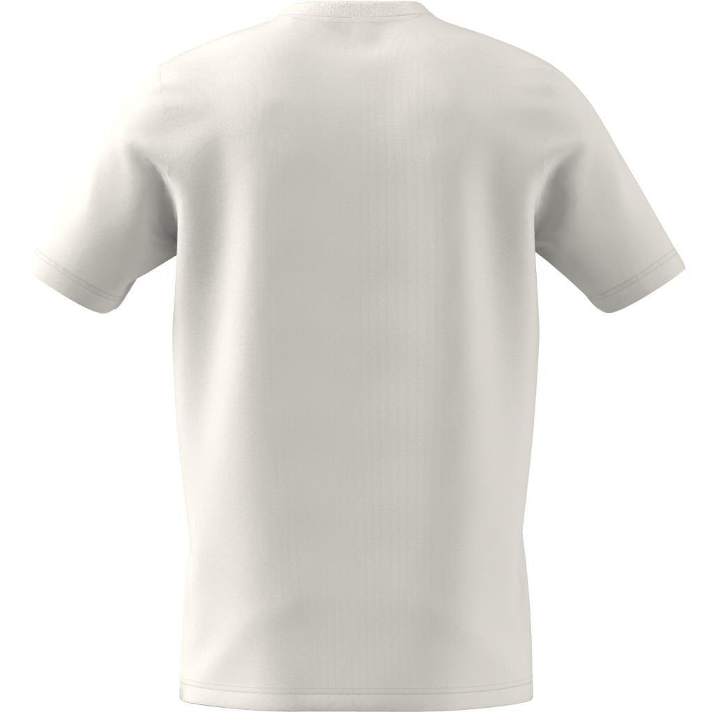 Illustrated Badge Graphic T-Shirt, White, A901_ONE, large image number 8