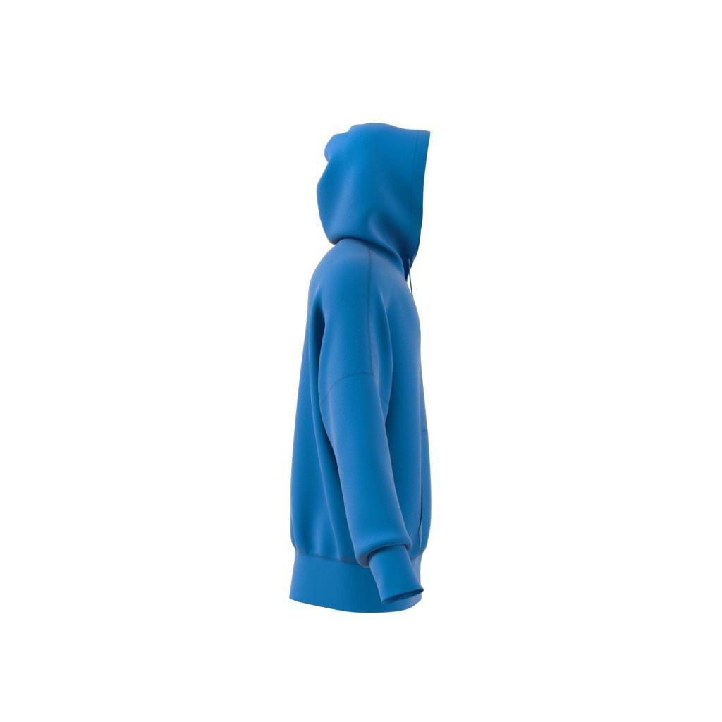 Street Neuclassics Hoodie, Blue, A901_ONE, large image number 9