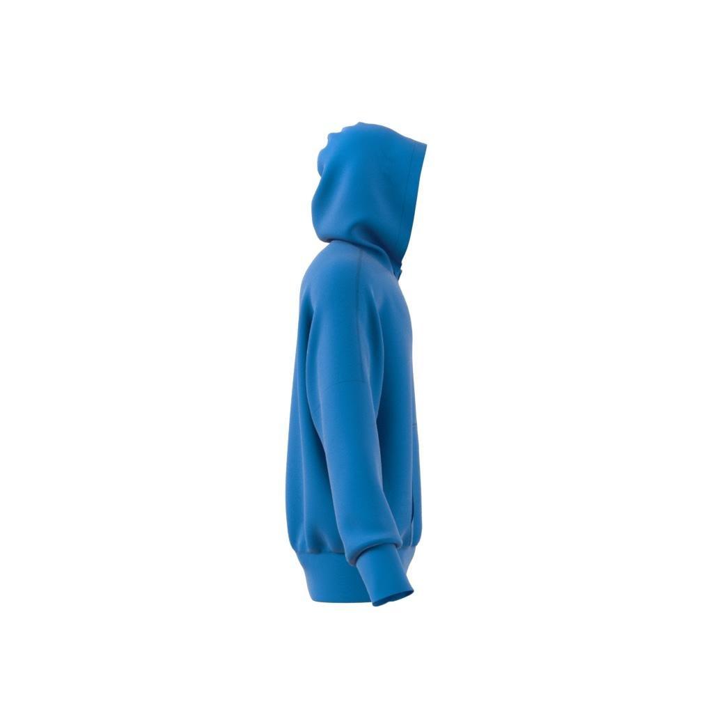 Street Neuclassics Full-Zip Hoodie, Blue, A901_ONE, large image number 14
