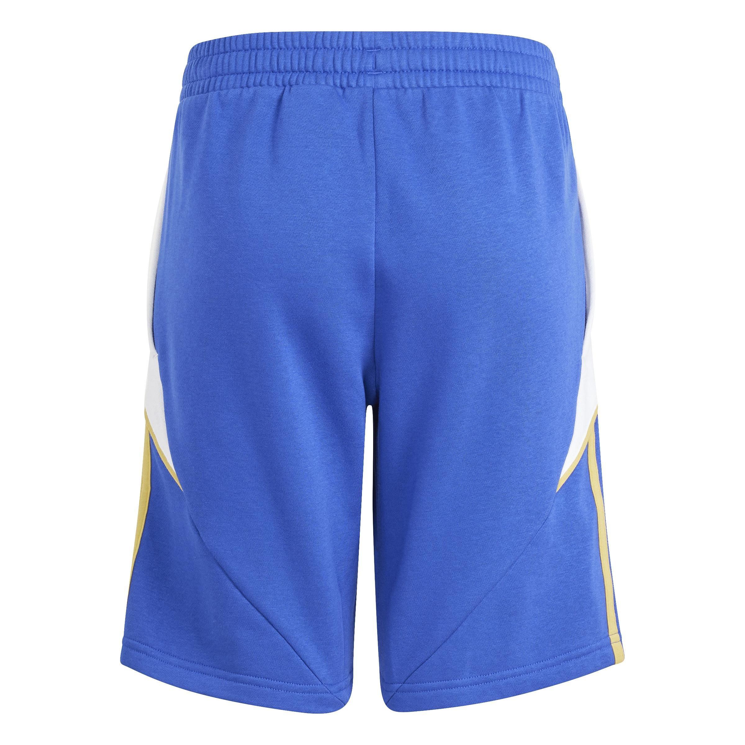 Unisex Kids Pitch 2 Street Messi Sportswear Shorts, Blue, , large image number 2
