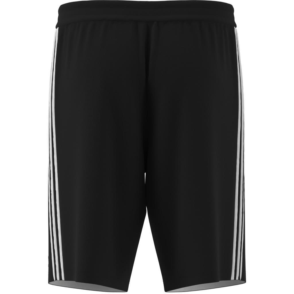 Adicolor 3-Stripes Shorts, Black, A901_ONE, large image number 6
