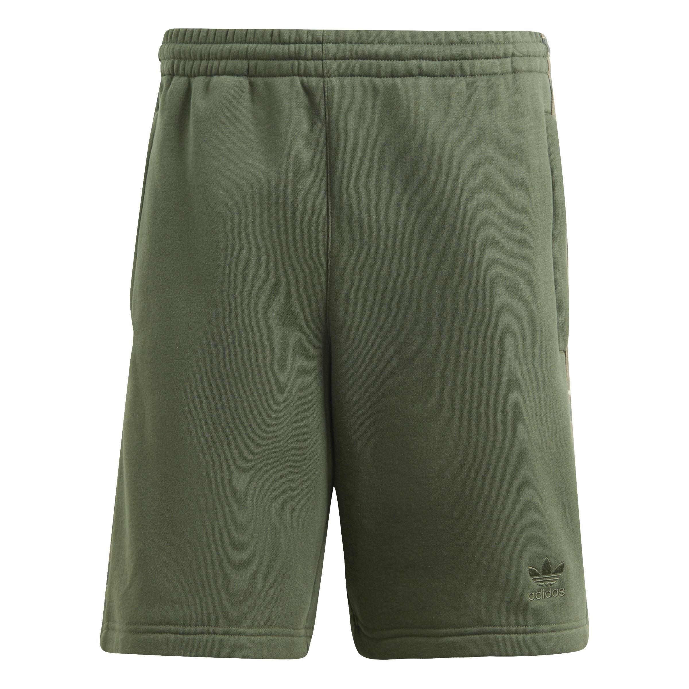 Graphics Camo Stripe Shorts, Green, A901_ONE, medium