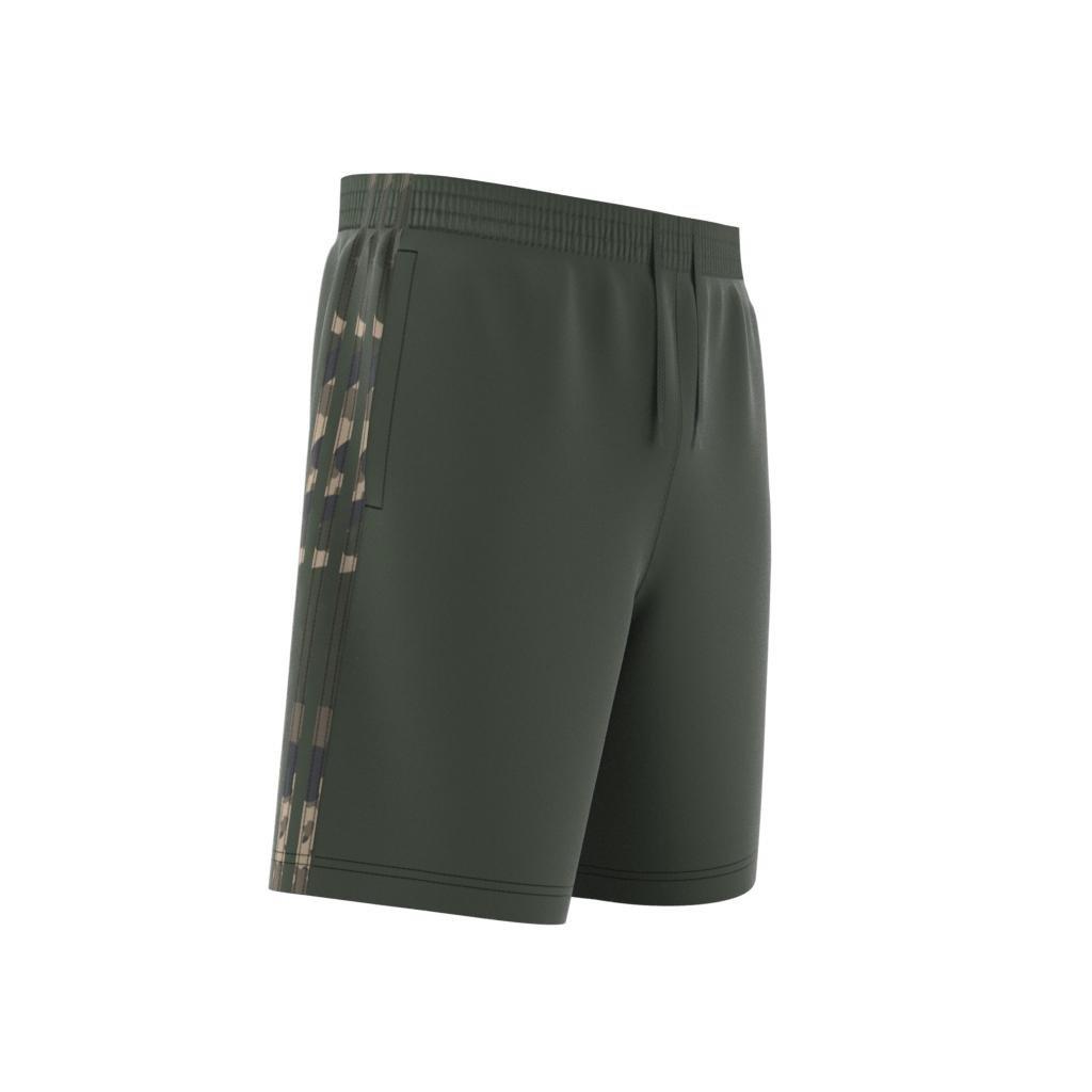 Graphics Camo Stripe Shorts, Green, , large image number 12