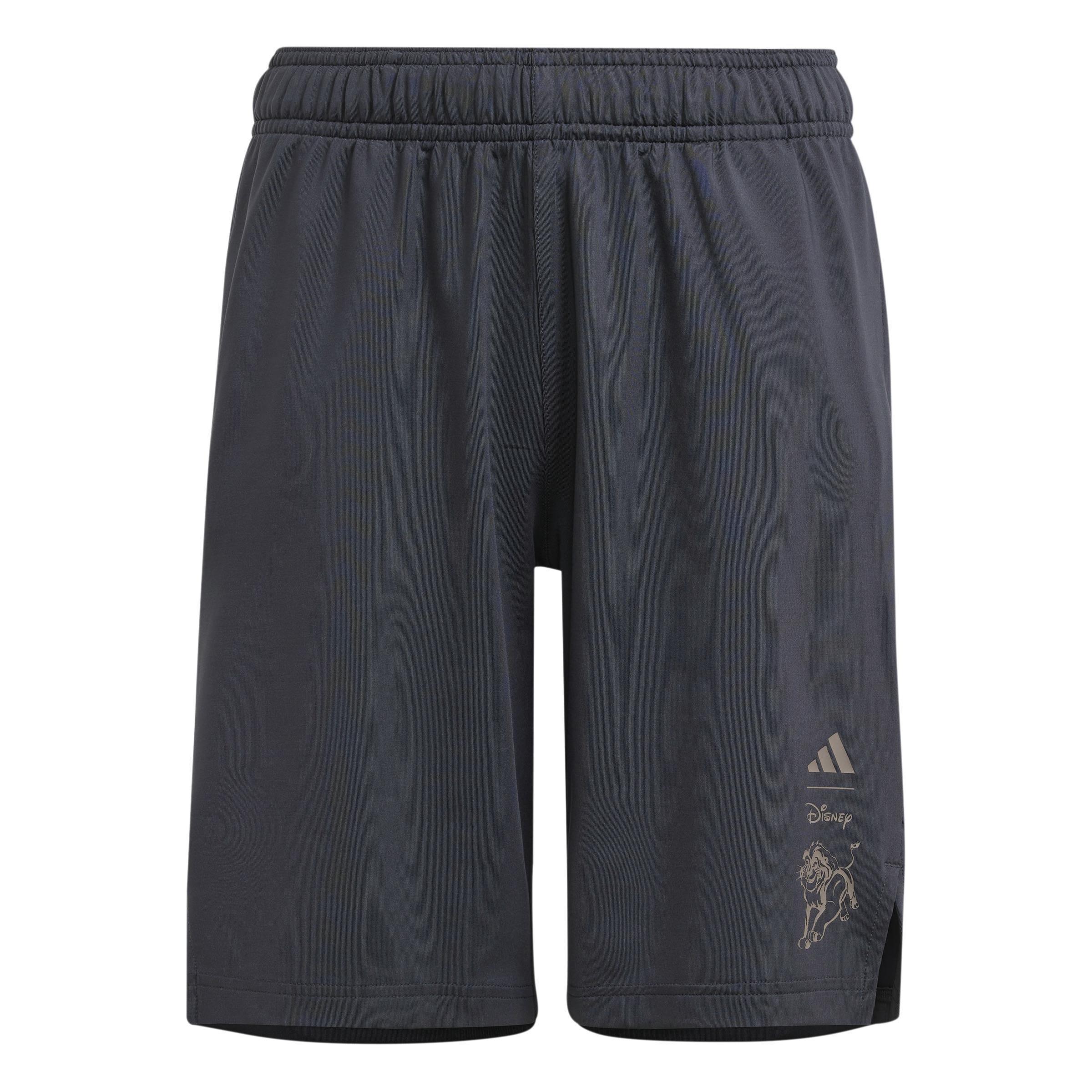Kids Disney Lion King Shorts, Grey, , large image number 1